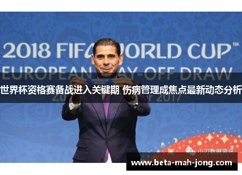世界杯资格赛备战进入关键期 伤病管理成焦点最新动态分析