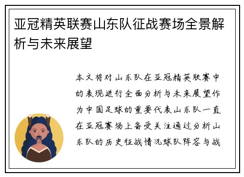 亚冠精英联赛山东队征战赛场全景解析与未来展望